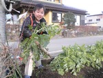 daikon3