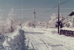 karu11