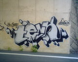 �ǥ��������