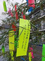 tanabata3