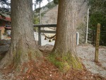wasimiji3