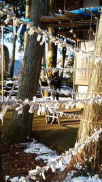omikuji