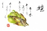 noriko