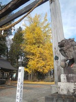 niiname4