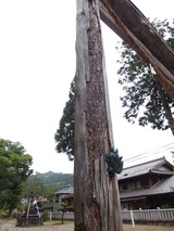 torii1