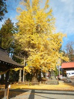 niiname5
