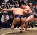 takayasu