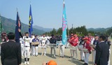 sakura-1