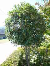 ����⥯������