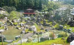 niwa7