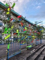 tanabata1