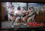sumo1