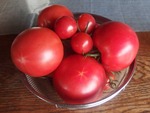 tomato