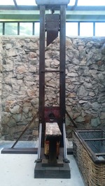 senso14