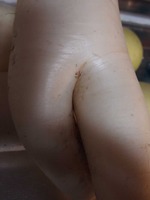 daikon2