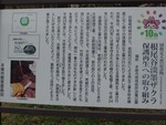 usuzumi5