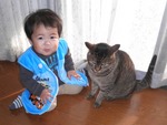 tora3