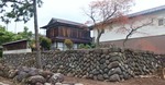 nunoya2