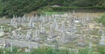 kamigo14