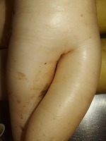 daikon1