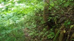 abura8
