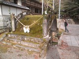 suhara8
