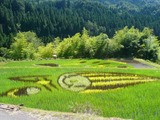 minamo