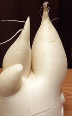 daikon1