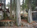jinjya2