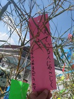 tanabata2