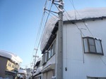 yaneyuki1