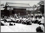 66nen