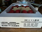 tomato1