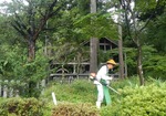 kusakari1