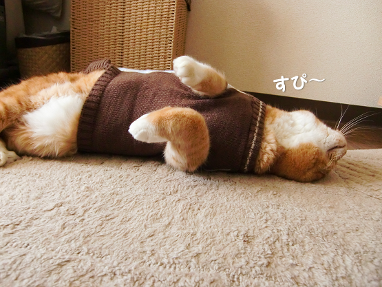 とら吉