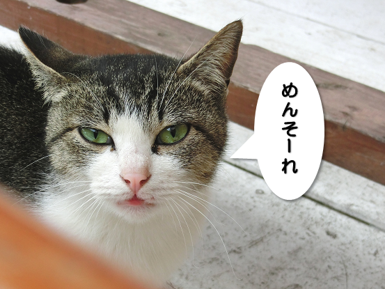 写真 3