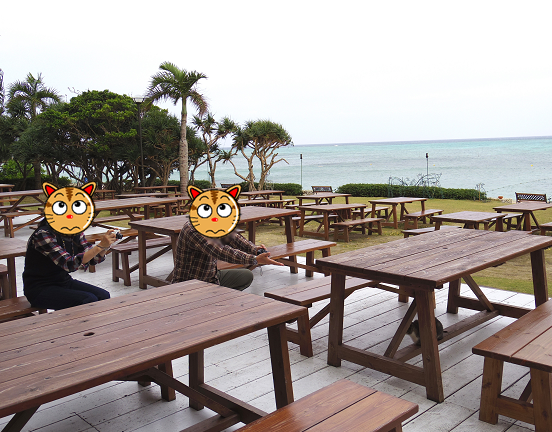 写真 1