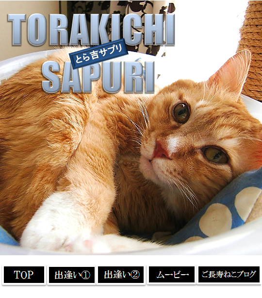 とら吉サプリ