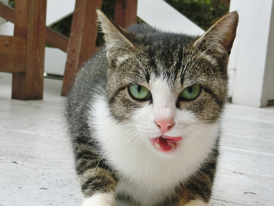 写真 5