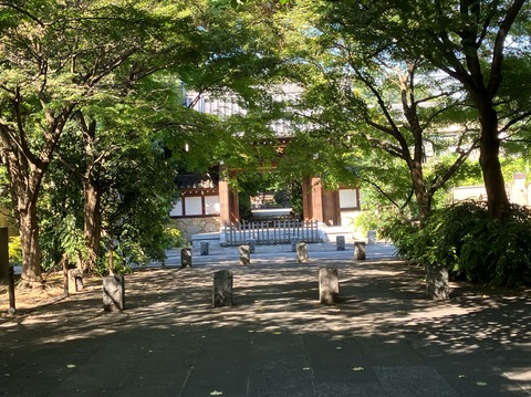 64001A9D-3A81-4AAE-A79C-8272BD383F41