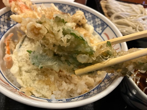 69B0B172-4AB2-4D2E-AE6D-DA1B58EE3030