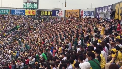 ワイ鷹ファン、甲子園での阪神との交流戦を見に行くつもりなんやが