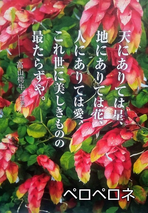 FB_IMG_1674735487202