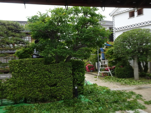 DSC09110