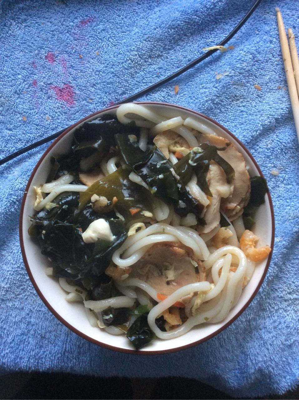今日は煮込みうどん ダシは鶏肉のハム エビも入れてワカメもたっぷり 井の中の寄生虫ーゲッティンゲン留学日記 今日は煮込みうどん ダシは鶏肉のハム エビも入れてワカメもたっぷり 井の中の寄生虫ーゲッティンゲン留学日記