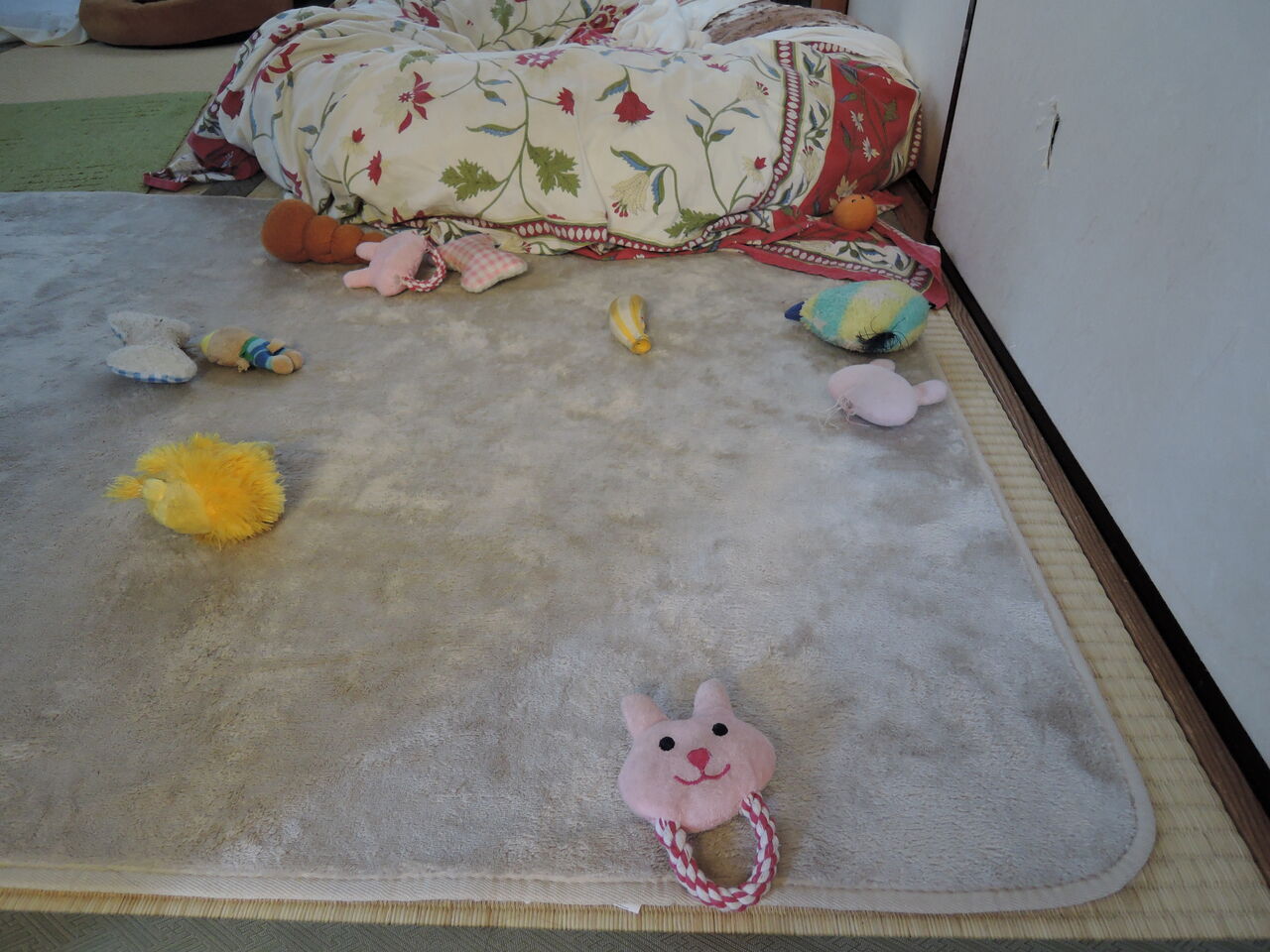 うちには3歳児がいるんかい と思う事 プレシャスデイズ わんことにゃんこと