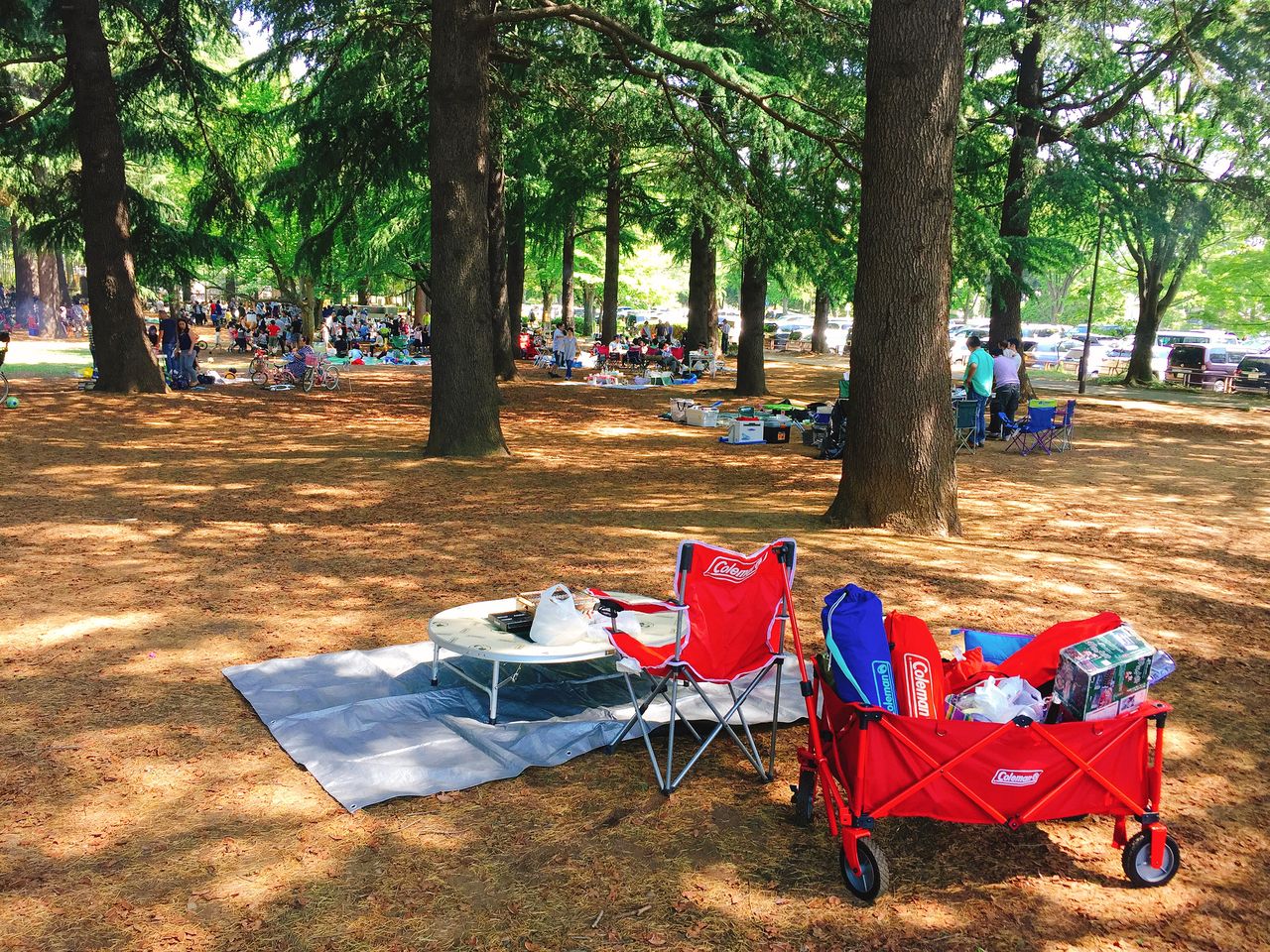 野川公園 日本亭唐揚げ ホットモットのり弁 虎ノ門ランチ日記 野川公園 日本亭唐揚げ ホットモットのり弁 虎ノ門ランチ日記
