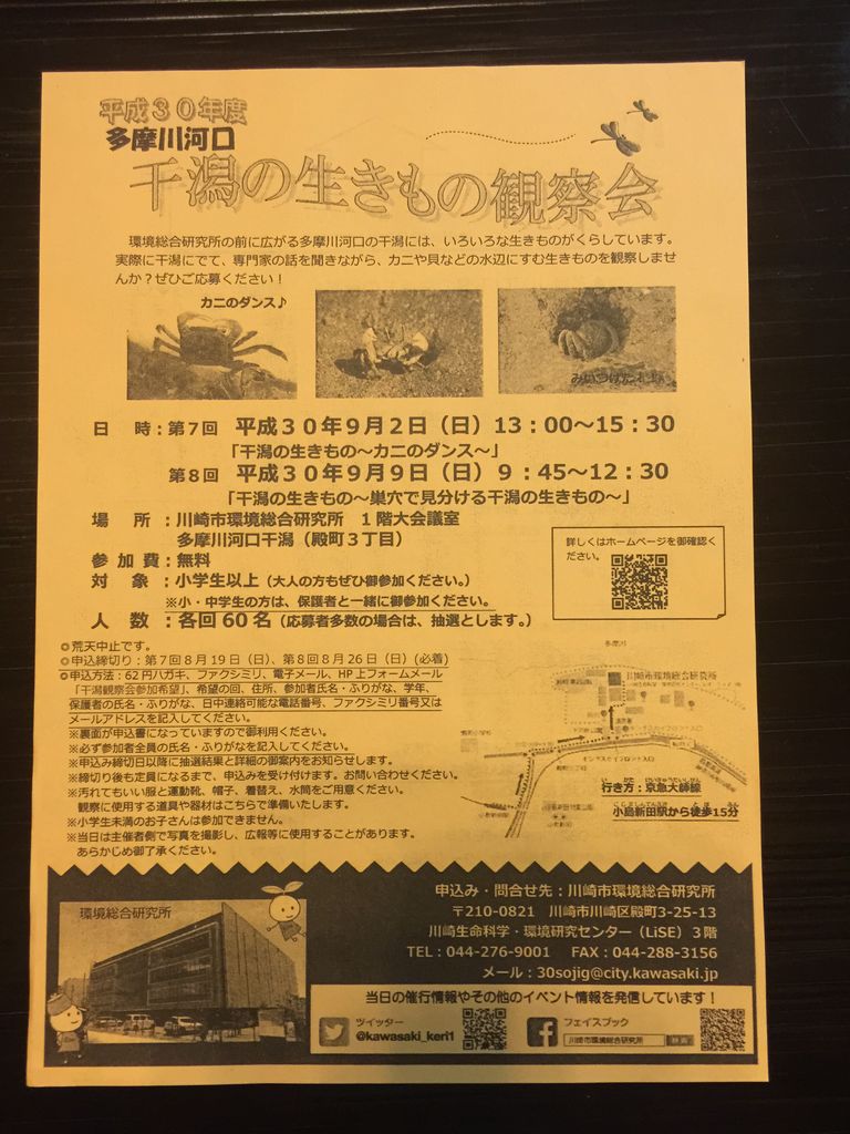 絶滅危惧種にも会えるかも 平成30年 第6回多摩川河口干潟の生き物観察会 に参加してきました とらのすけブログ 絶滅危惧種にも会えるかも 平成30年 第6回多摩川河口干潟の生き物観察会 に参加してきました とらのすけブログ