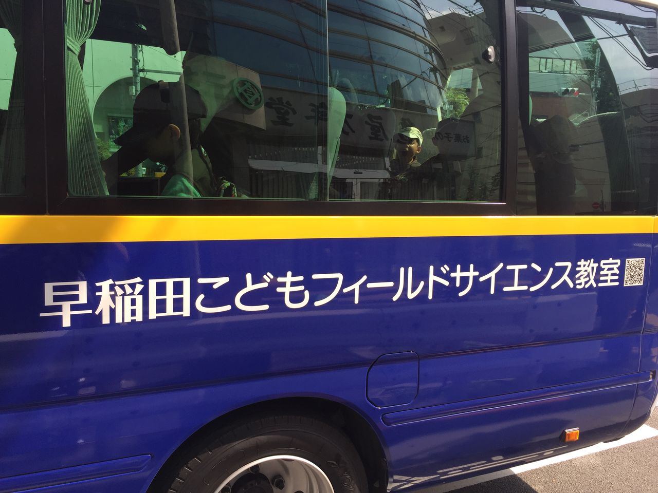 海の食物連鎖 参加レポート とらのすけブログ