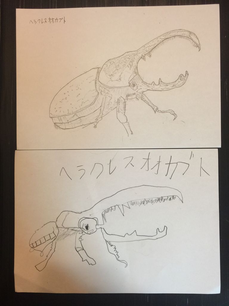 子供と生き物のスケッチをして楽しんでいます 大人になったら なぜか絵がマシになっていました とらのすけブログ 子供と生き物のスケッチをして楽しんでいます 大人になったら なぜか絵がマシになっていました とらのすけブログ